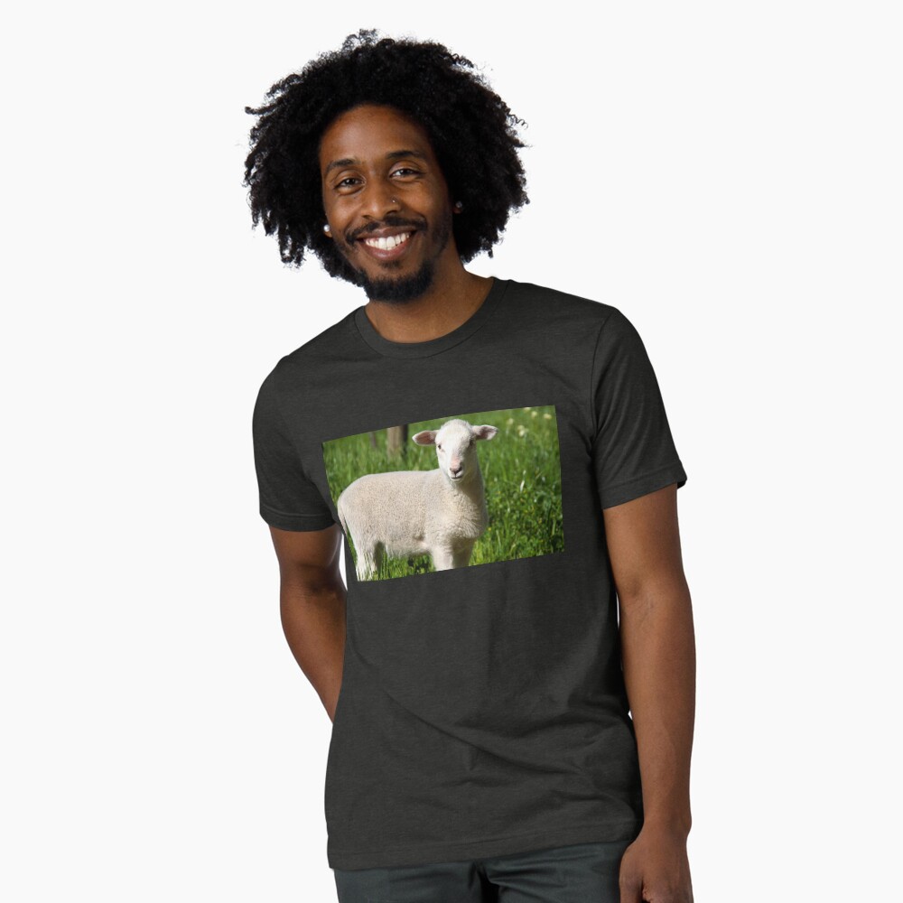 Item preview, Tri-blend T-Shirt designed and sold by MagpieSprings.