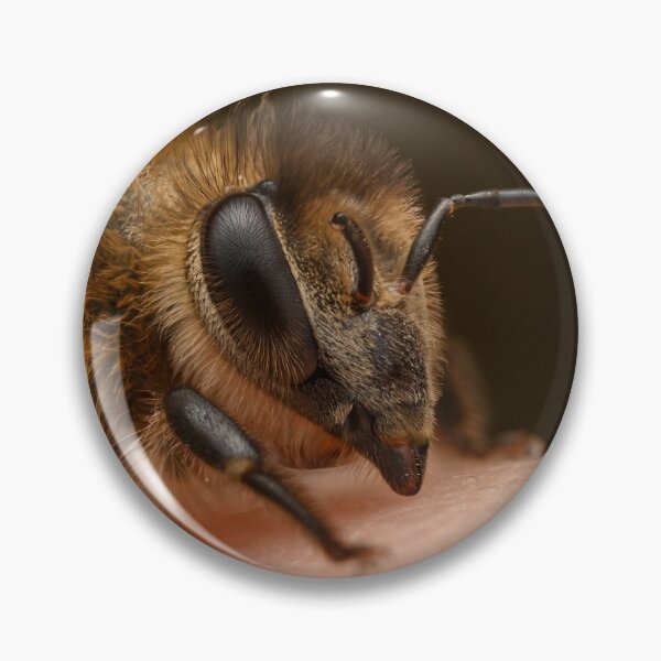Item preview, Honeybee (Apis mellifera) on the fingertip designed and sold by Ldarro.