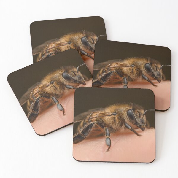 Item preview, Honeybee (Apis mellifera) on the fingertip designed and sold by Ldarro.