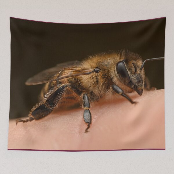 Item preview, Honeybee (Apis mellifera) on the fingertip designed and sold by Ldarro.
