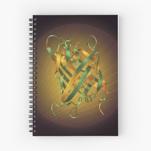 Item preview, rsKiiro fluorescent protein designed and sold by Francisco J. Enguita.