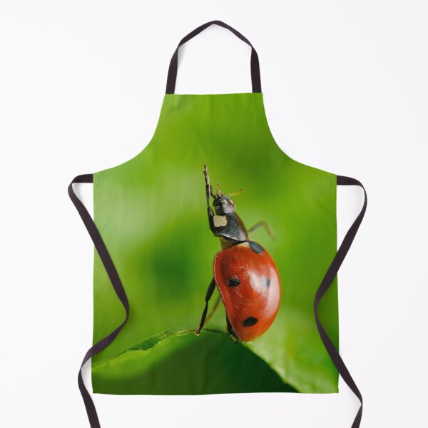 Item preview, Seven-spotted Ladybug says Hi! designed and sold by Ldarro.
