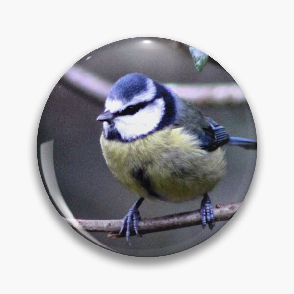 Item preview, blue tit designed and sold by KathleenDawson.