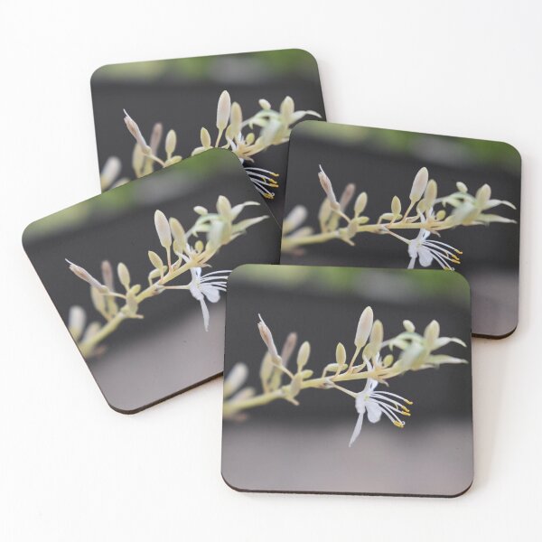 Item preview, Soft tones white bloom designed and sold by mariya-ivanova.