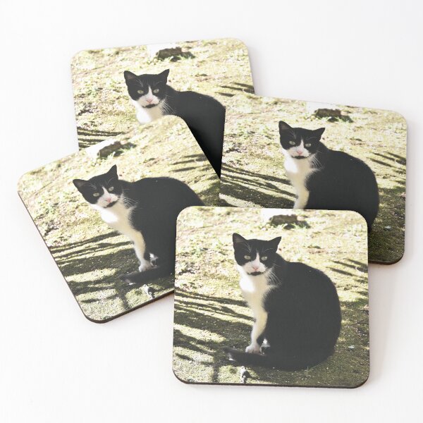 Item preview, Maxwell The Friendly cat designed and sold by Nerone.