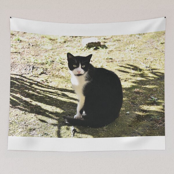 Item preview, Maxwell The Friendly cat designed and sold by Nerone.