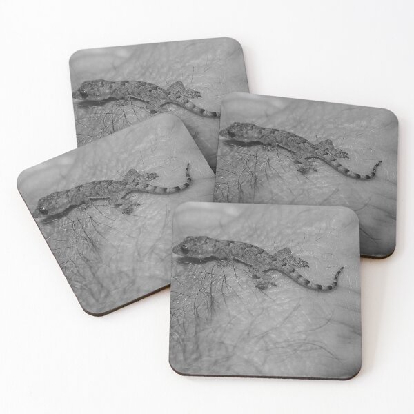 Item preview, Baby Gecko Close Up Black And White designed and sold by MercerImages.