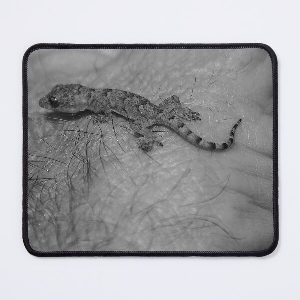 Item preview, Baby Gecko Close Up Black And White designed and sold by MercerImages.