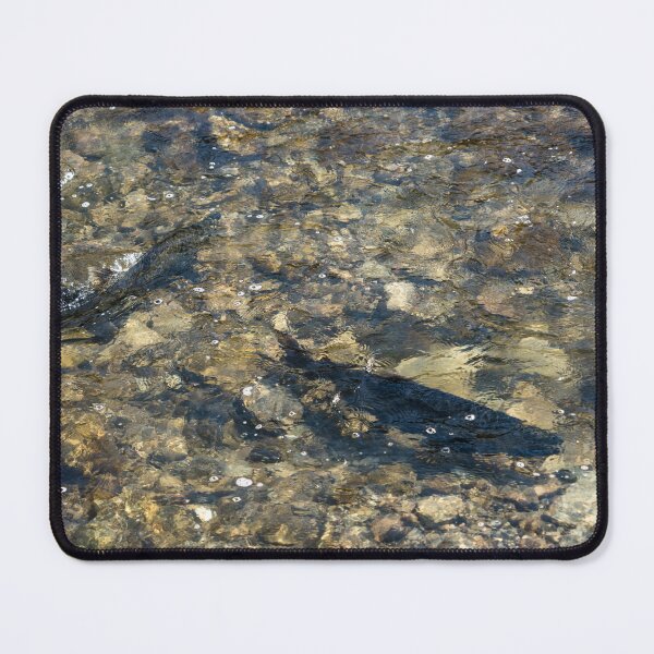 Item preview, Wild Salmon Spawning Pursuit designed and sold by Georgia Mizuleva.