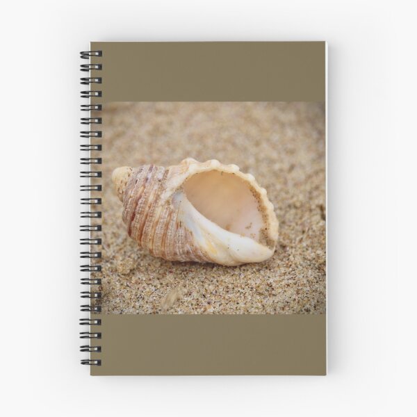 Item preview, Shell on a sandy beach designed and sold by MacLittle.