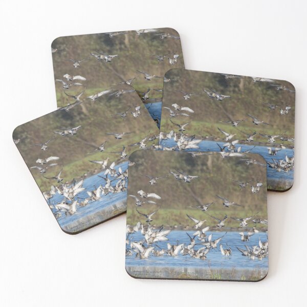 Item preview, Waterfowl Flocks designed and sold by LaurenTucker.