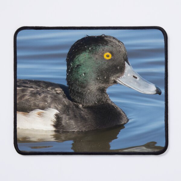 Item preview, Tufted Duck designed and sold by LaurenTucker.