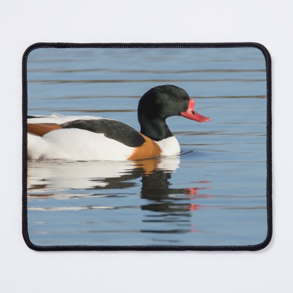 Item preview, Shelduck designed and sold by LaurenTucker.