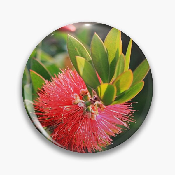 Item preview, nature´s beauty... designed and sold by Tereza Pilar  Art.