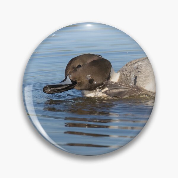 Item preview, Pintail designed and sold by LaurenTucker.