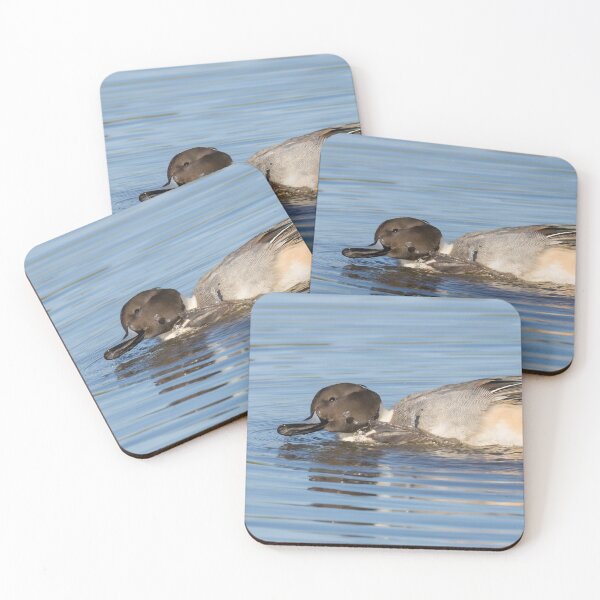 Item preview, Pintail designed and sold by LaurenTucker.