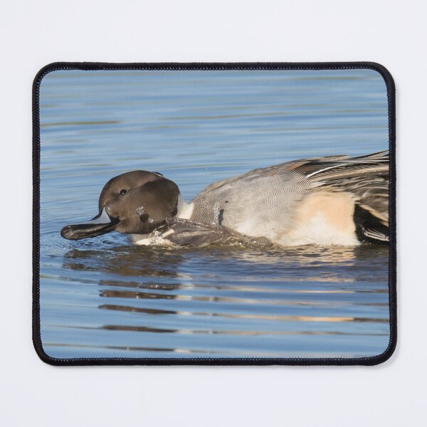 Item preview, Pintail designed and sold by LaurenTucker.