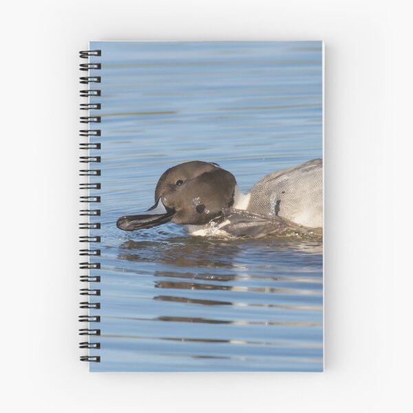 Item preview, Pintail designed and sold by LaurenTucker.