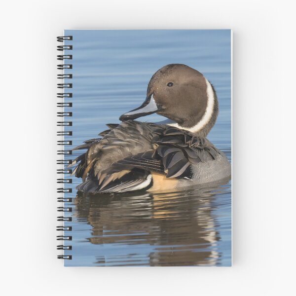 Item preview, Pintail designed and sold by LaurenTucker.