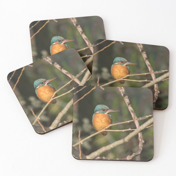 Item preview, Kingfisher designed and sold by LaurenTucker.