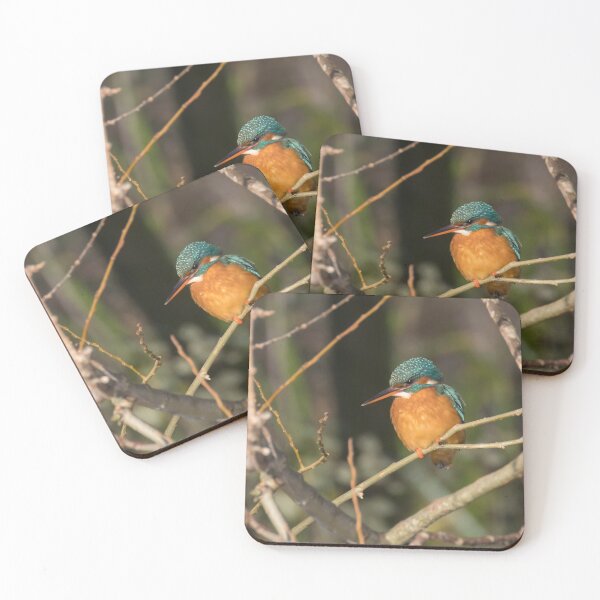 Item preview, Kingfisher designed and sold by LaurenTucker.