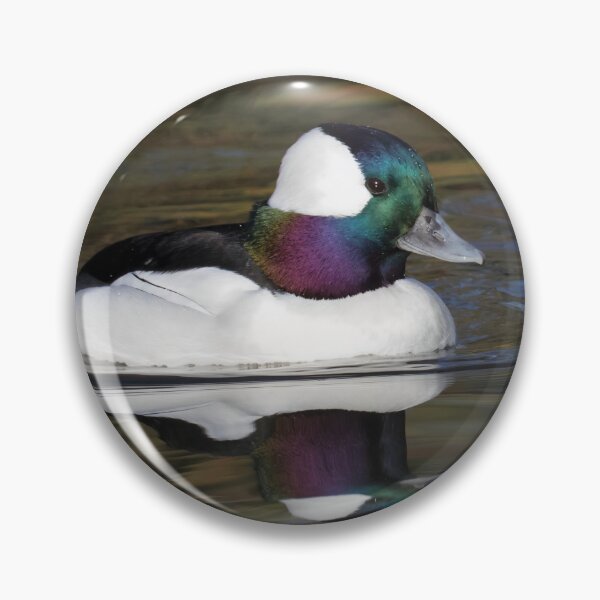 Item preview, Bufflehead designed and sold by LaurenTucker.