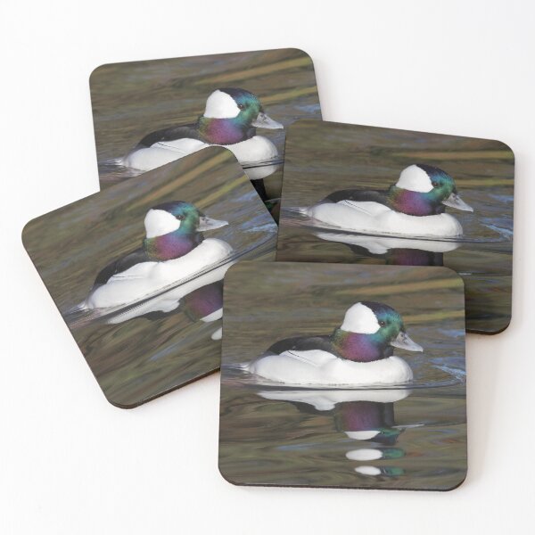 Item preview, Bufflehead designed and sold by LaurenTucker.