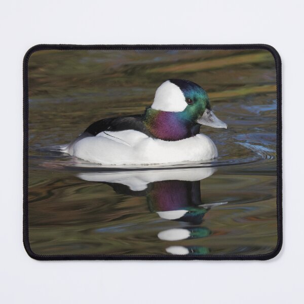 Item preview, Bufflehead designed and sold by LaurenTucker.