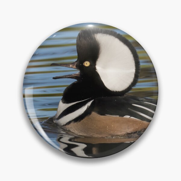 Item preview, Hooded Merganser designed and sold by LaurenTucker.