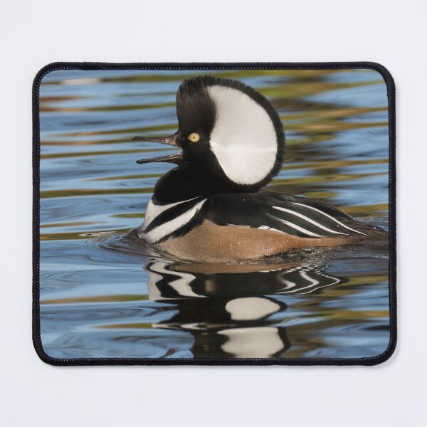 Item preview, Hooded Merganser designed and sold by LaurenTucker.