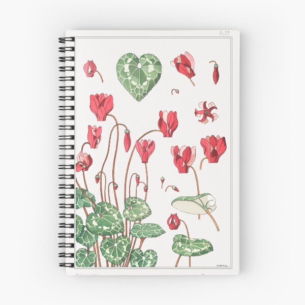 Item preview, Cyclamen from La Plante et ses Applications ornementales (1896). Poster. designed and sold by The Retroverse.