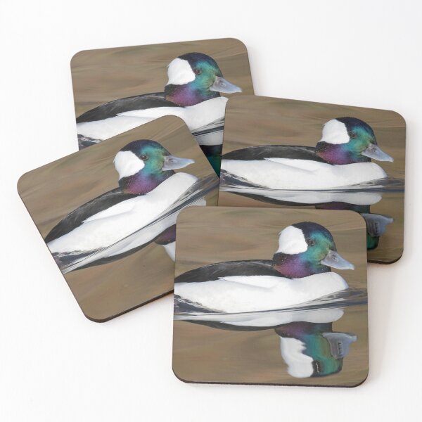Item preview, Bufflehead designed and sold by LaurenTucker.