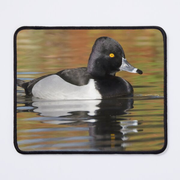 Item preview, Ring Necked Duck designed and sold by LaurenTucker.
