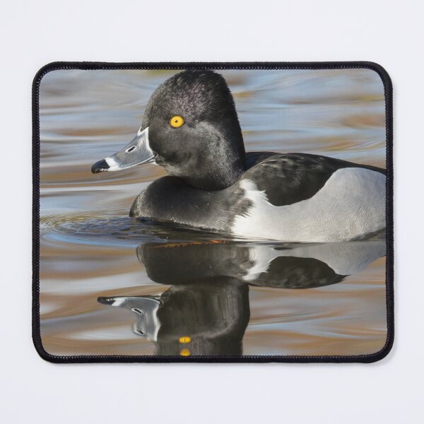 Item preview, Ring Necked Duck designed and sold by LaurenTucker.