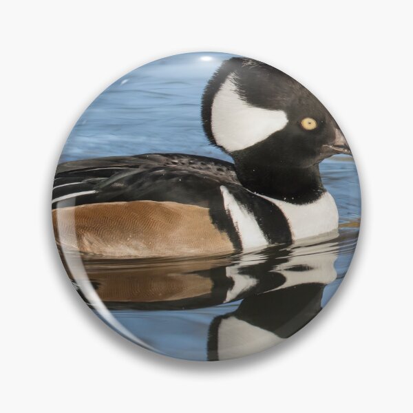Item preview, Hooded Merganser designed and sold by LaurenTucker.