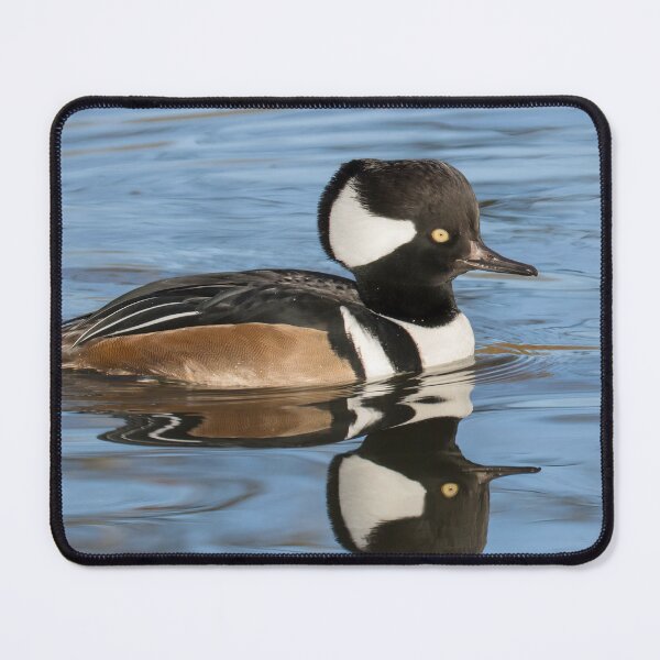 Item preview, Hooded Merganser designed and sold by LaurenTucker.