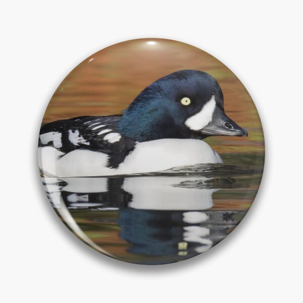Item preview, Barrow's Goldeneye designed and sold by LaurenTucker.