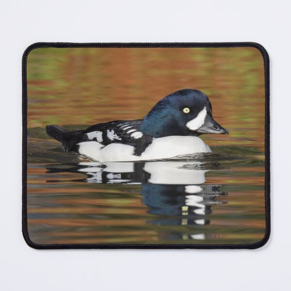 Item preview, Barrow's Goldeneye designed and sold by LaurenTucker.