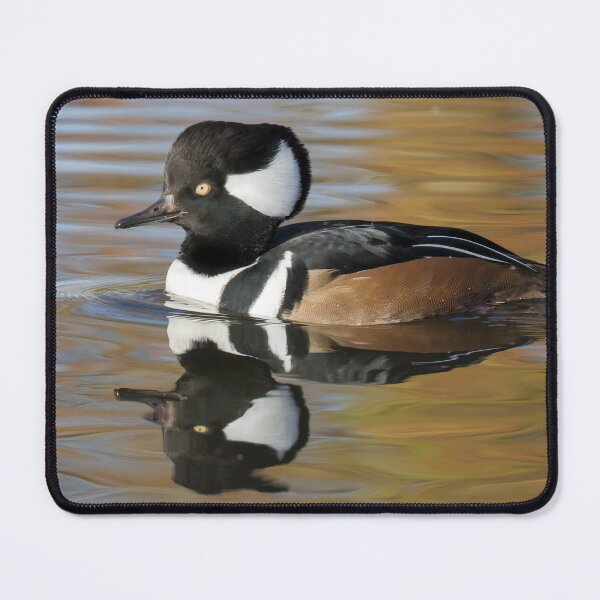 Item preview, Hooded Merganser designed and sold by LaurenTucker.