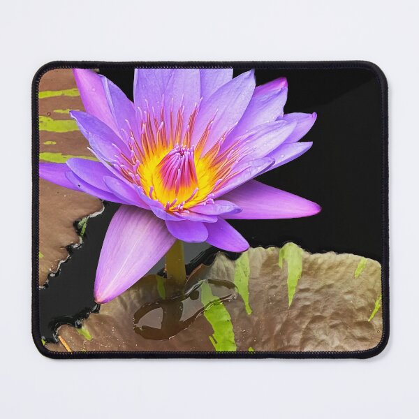 Item preview, William McLane Lily designed and sold by Ruth Jolly.