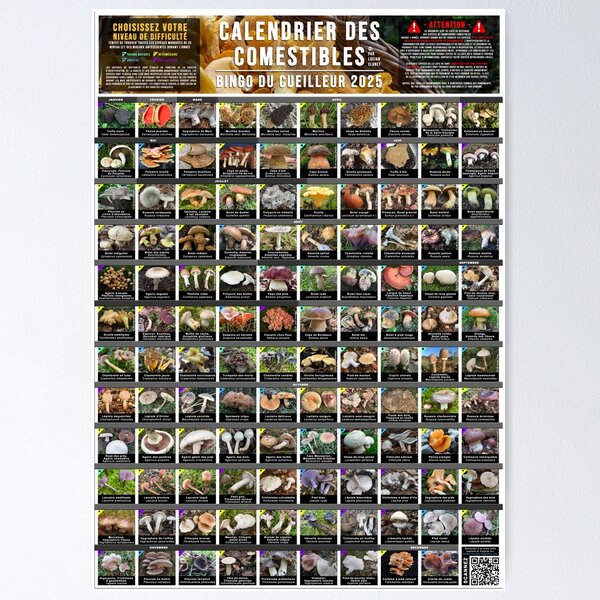 Item preview, Edible Calendar - Picker's Bingo designed and sold by Bolets-Europe.