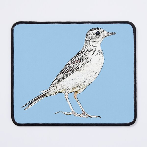 Item preview, Sprague's Pipit Black Alternate Design  designed and sold by designsasstultd.