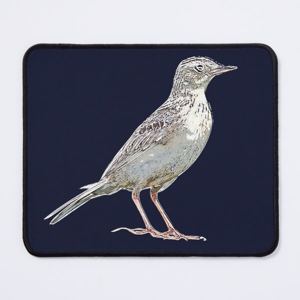 Item preview, Sprague's Pipit White Alternate Design  designed and sold by designsasstultd.