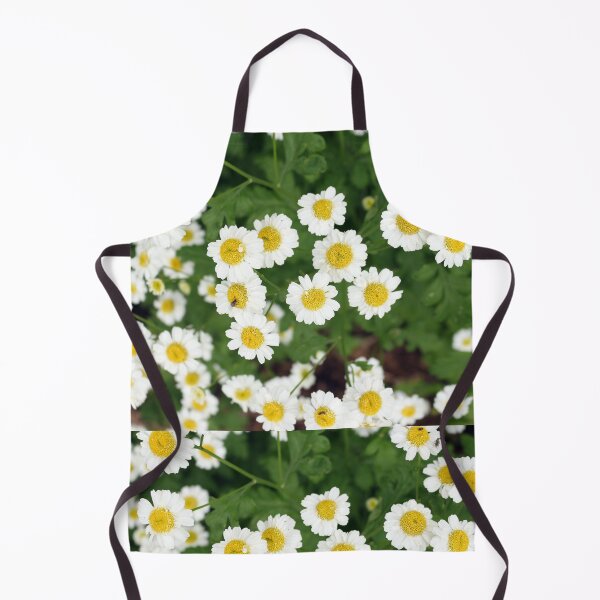 Item preview, Camomile flowers designed and sold by pinkal.