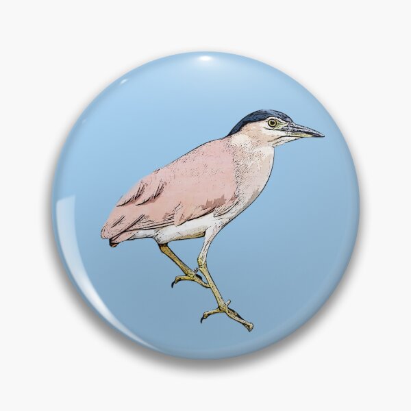 Item preview, Nankeen Night Heron Black Alternate Design  designed and sold by designsasstultd.