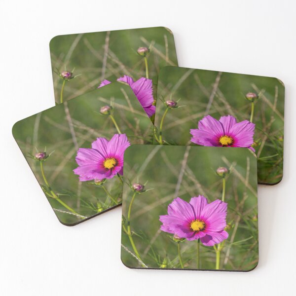 Item preview, The Enchanting Garden Cosmos "Cosmos bipinnatus" designed and sold by wenzler.