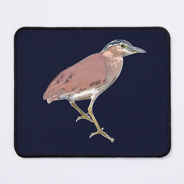 Item preview, Nankeen Night Heron White Alternate Design  designed and sold by designsasstultd.