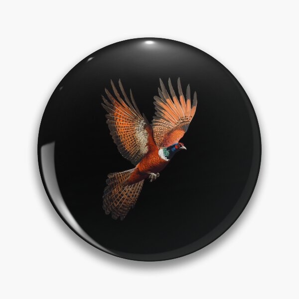 Item preview, Pheasant Coucal Gifts For Ornithologists And Bird Lovers  designed and sold by MarcinDesign.