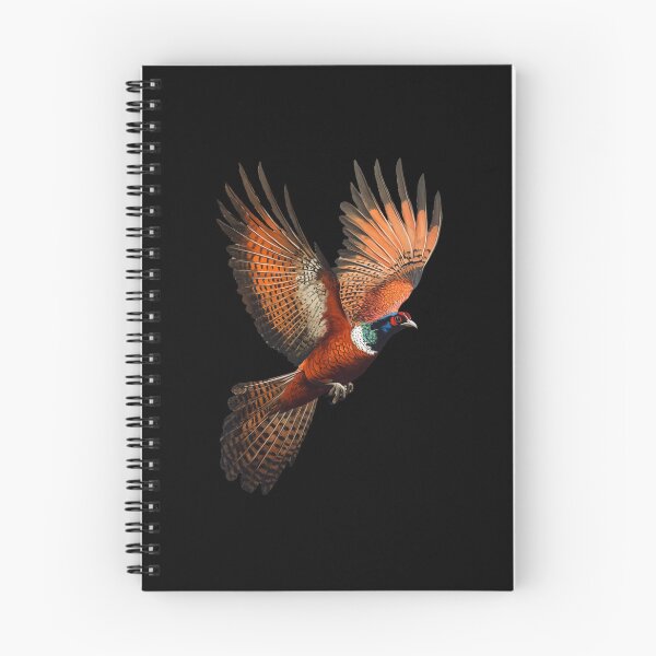 Item preview, Pheasant Coucal Gifts For Ornithologists And Bird Lovers  designed and sold by MarcinDesign.