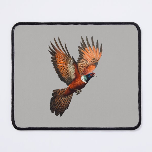 Item preview, Pheasant Coucal Gifts For Ornithologists And Bird Lovers designed and sold by MarcinDesign.